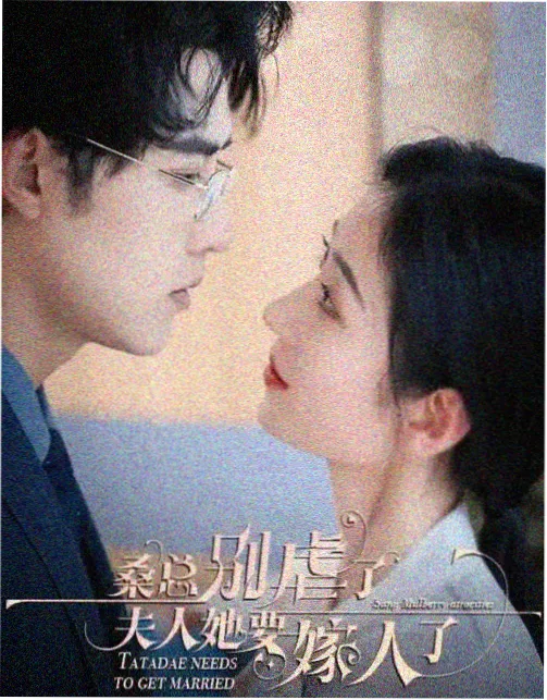 热播电视剧巷尾人家海报